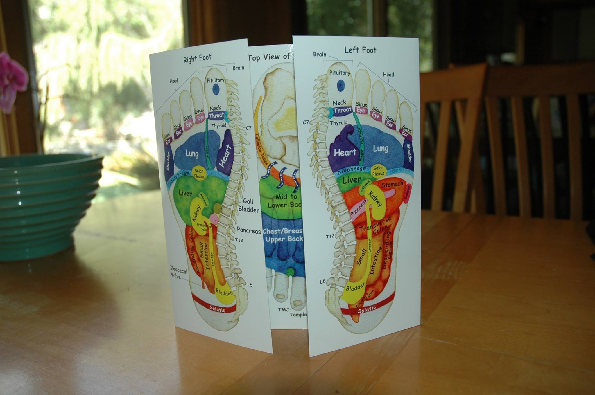 Reflexology Charts For Sale